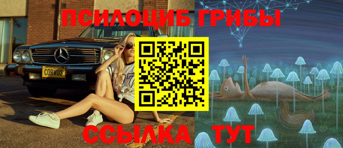 Галлюциногенные грибы Magic Shrooms Шали