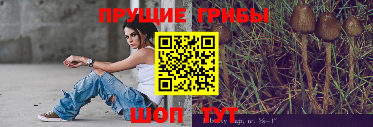 Галлюциногенные грибы ЛСД  Псилоцибиновые грибы MAGIC MUSHROOMS  Вход с VPN  Шали 